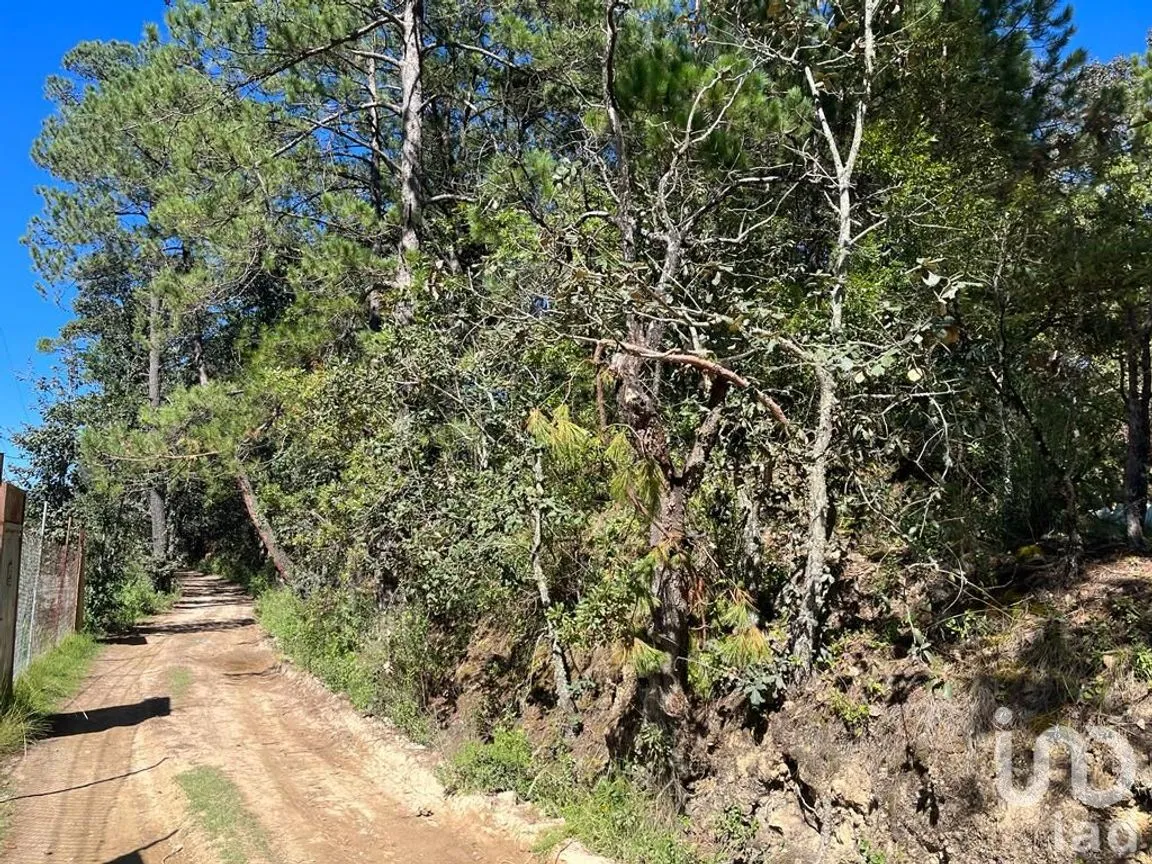 Terreno en Venta en La Gran Campaña, Mineral del Chico, Hidalgo | NEX-187811 | iad México | Foto 6 de 13