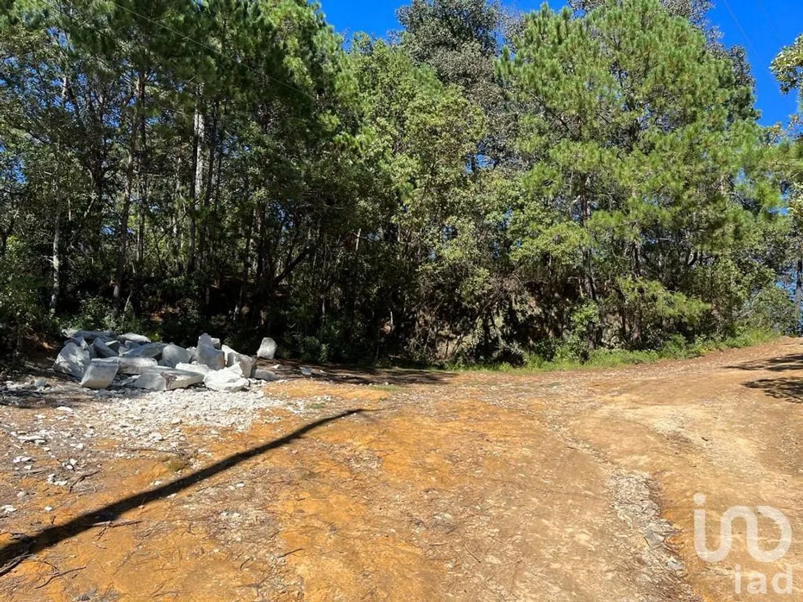 Terreno en Venta en La Gran Campaña, Mineral del Chico, Hidalgo | NEX-187811 | iad México | Foto 7 de 13