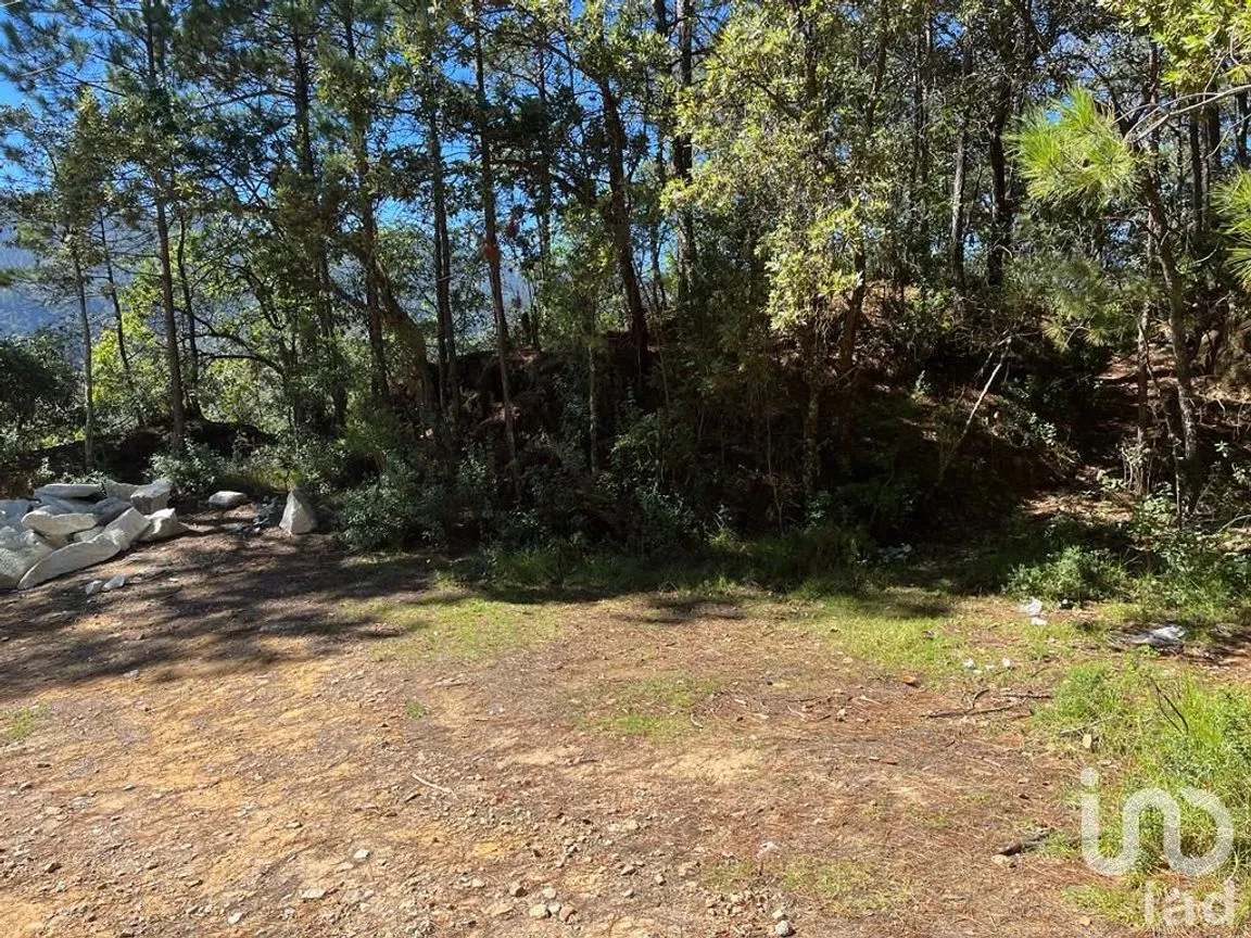 Terreno en Venta en La Gran Campaña, Mineral del Chico, Hidalgo | NEX-187811 | iad México | Foto 8 de 13