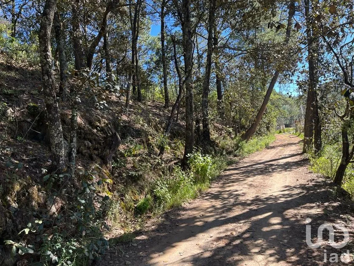 Terreno en Venta en La Gran Campaña, Mineral del Chico, Hidalgo | NEX-187811 | iad México | Foto 9 de 13