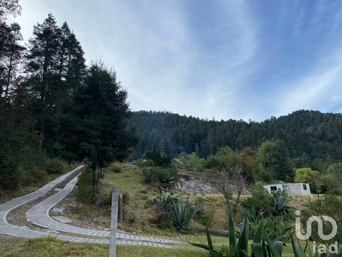 Terreno en Venta en Ciénega Grande, Omitlán de Juárez, Hidalgo | NEX-192753 | iad México | Foto 4 de 10