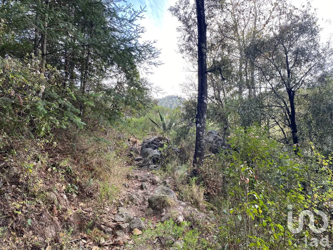 Terreno en Venta en Ciénega Grande, Omitlán de Juárez, Hidalgo | NEX-192753 | iad México | Foto 8 de 10
