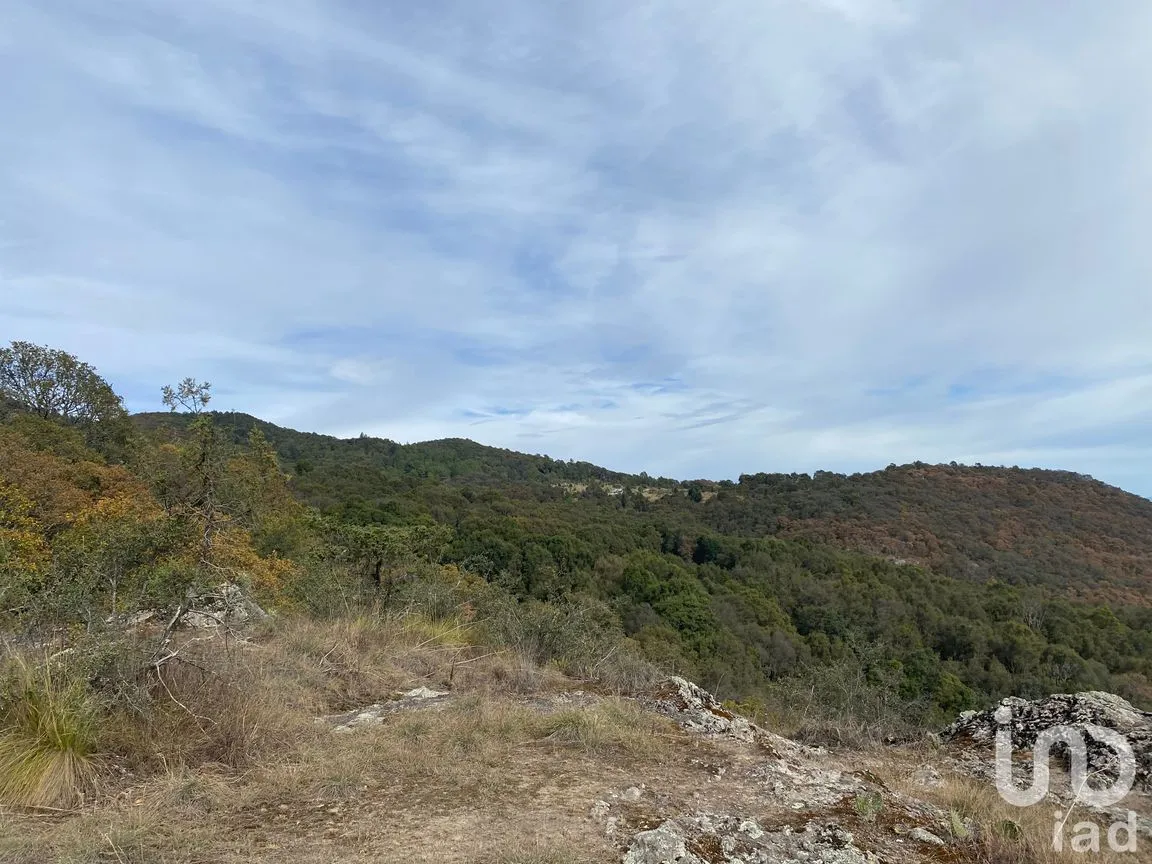 Terreno en Venta en Ciénega Grande, Omitlán de Juárez, Hidalgo | NEX-192753 | iad México | Foto 9 de 10
