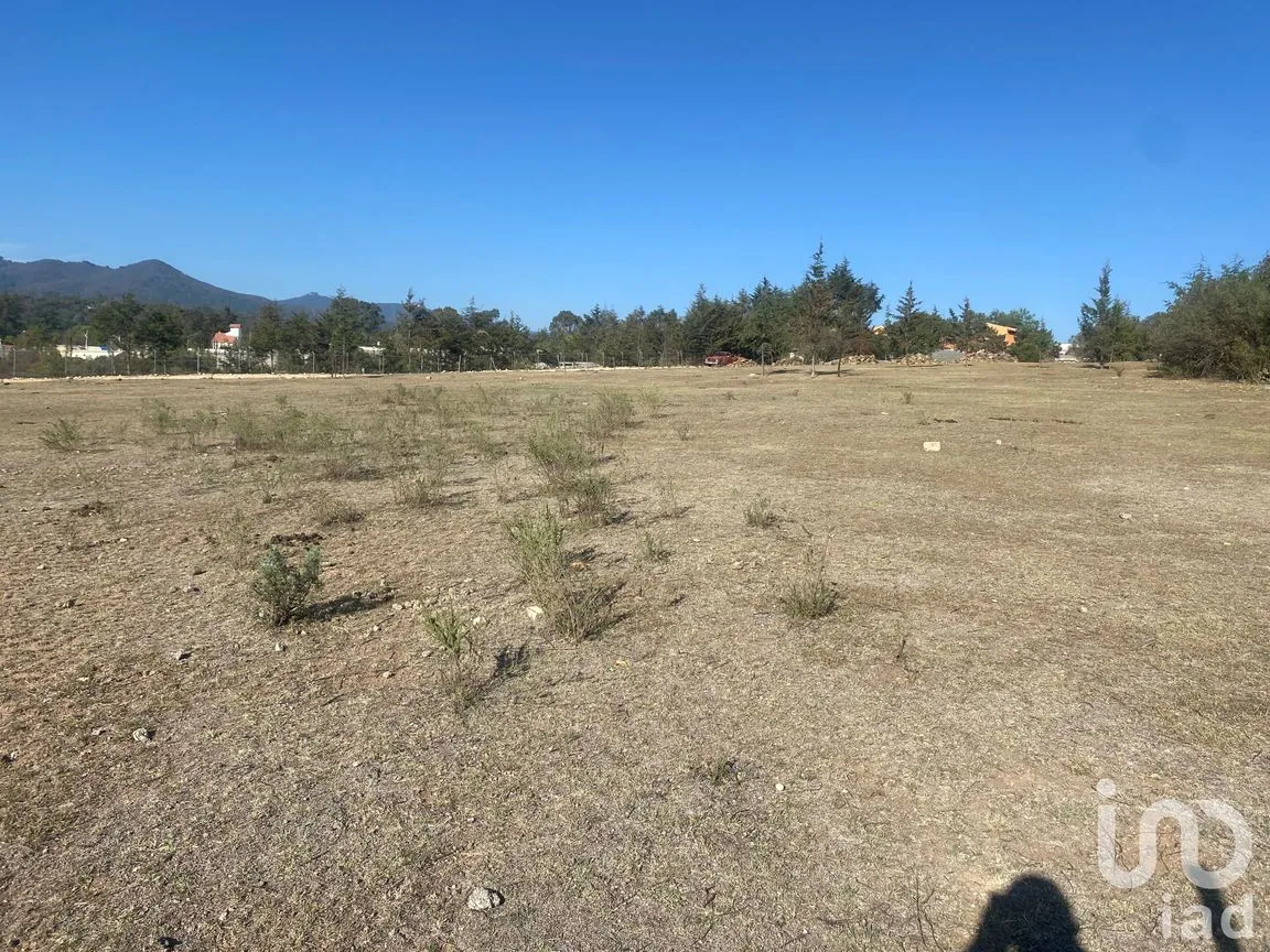Terreno en Venta en La Mora, Huasca de Ocampo, Hidalgo | NEX-196629 | iad México | Foto 2 de 5