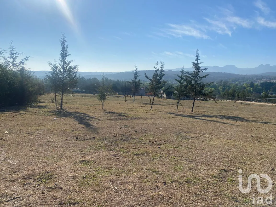 Terreno en Venta en La Mora, Huasca de Ocampo, Hidalgo | NEX-196629 | iad México | Foto 3 de 5