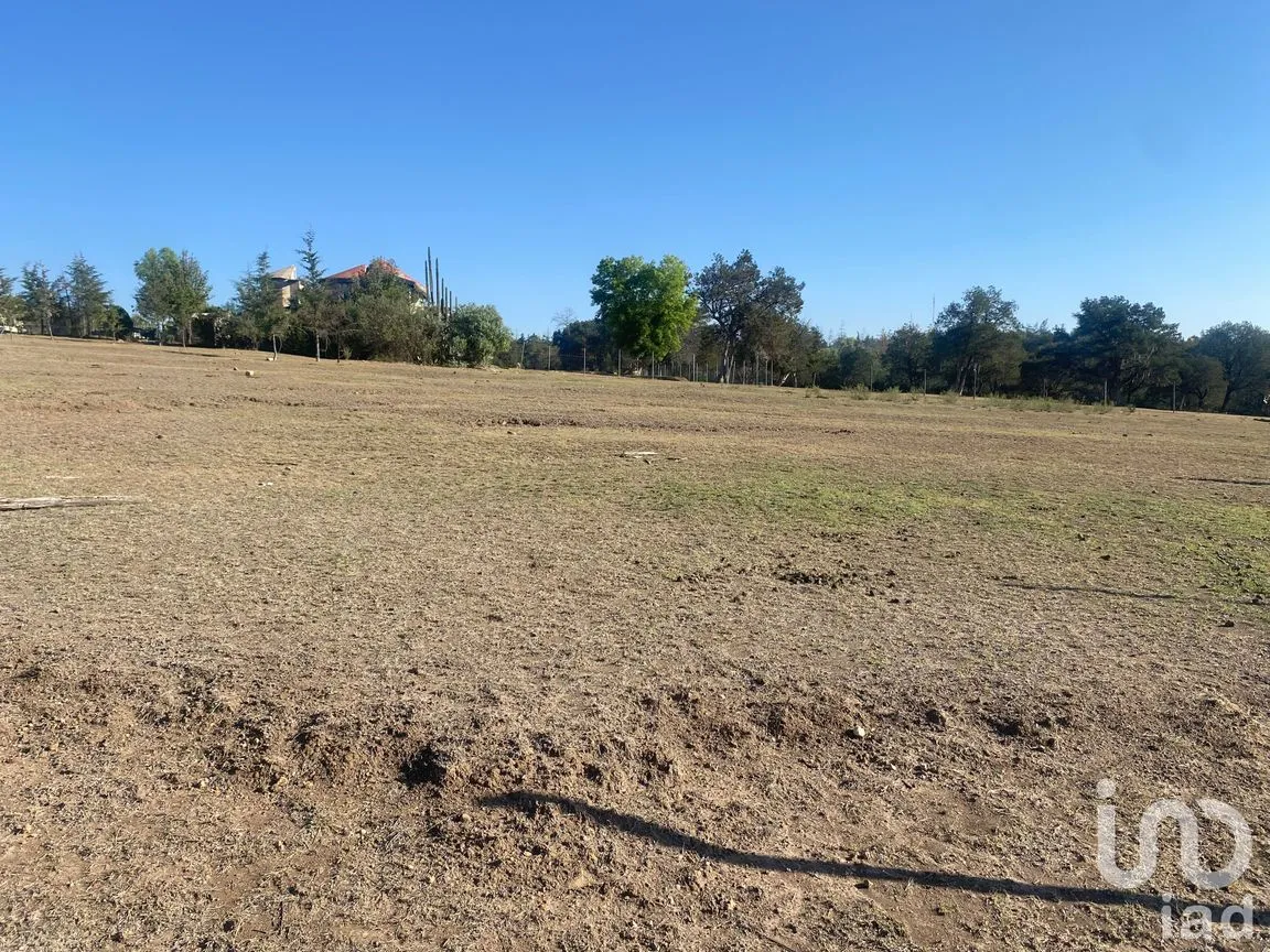Terreno en Venta en La Mora, Huasca de Ocampo, Hidalgo | NEX-196629 | iad México | Foto 5 de 5