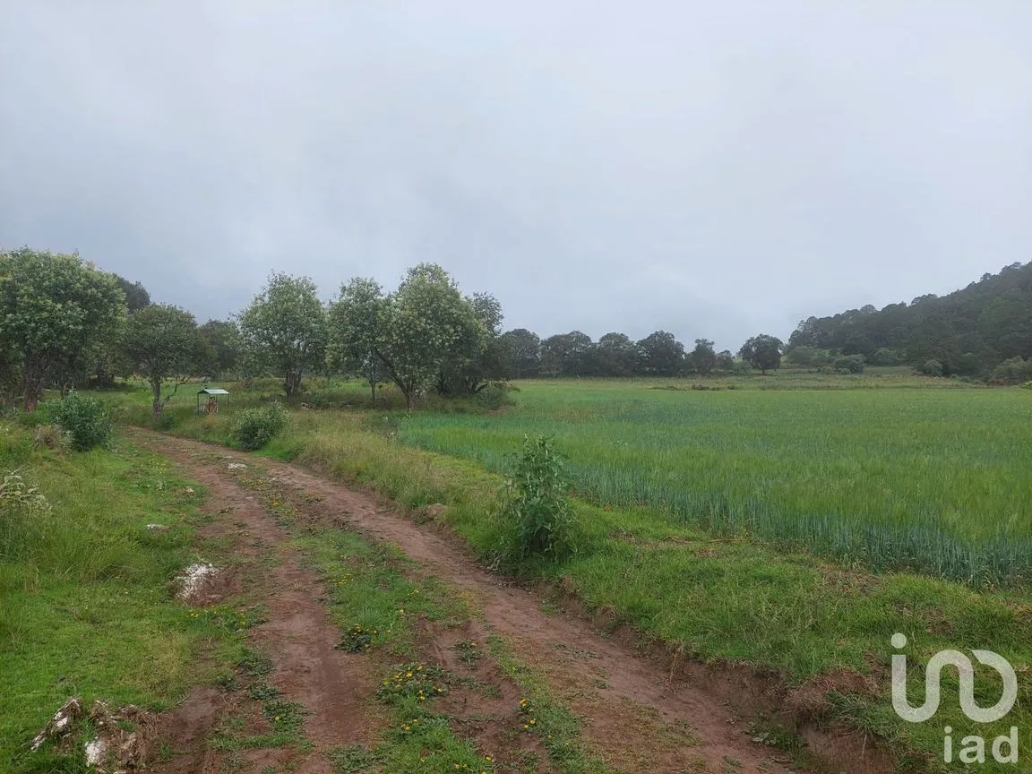 Terreno en Venta en Tecocomulco de Juárez, Cuautepec de Hinojosa, Hidalgo | NEX-198118 | iad México | Foto 2 de 5