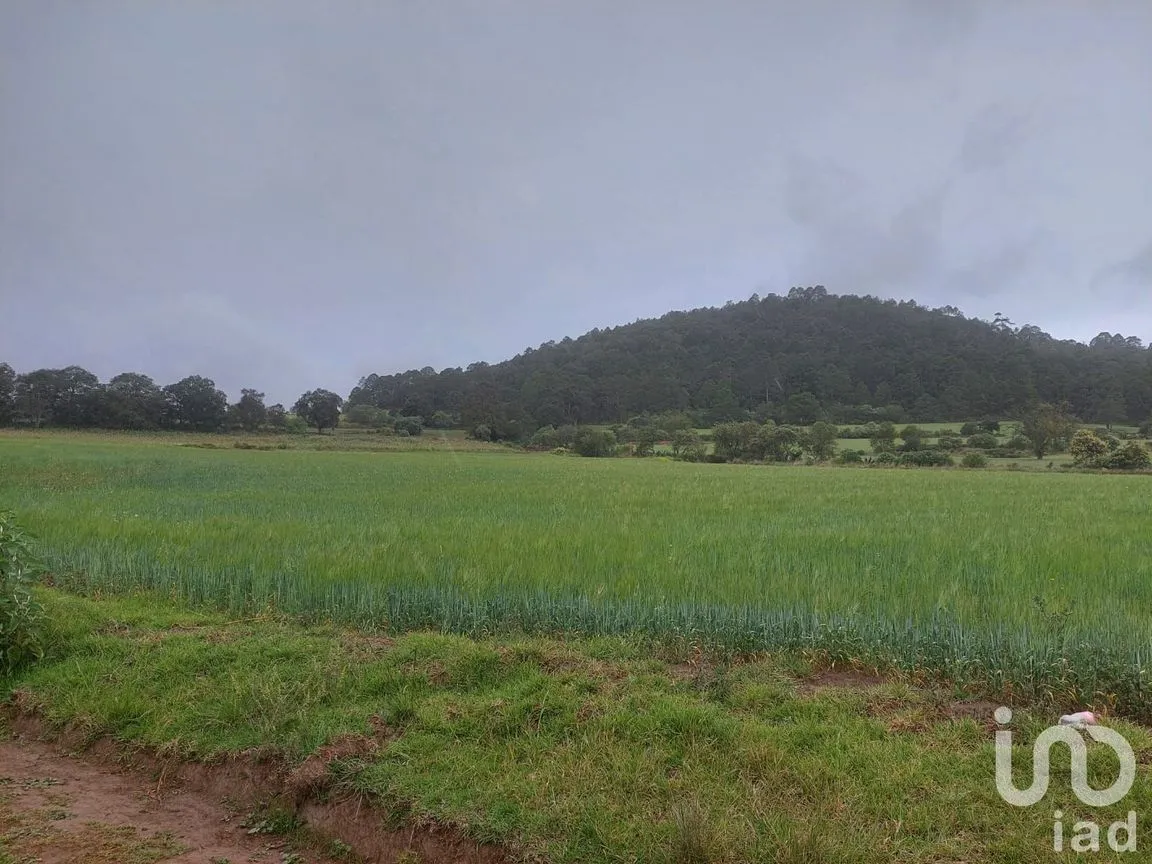 Terreno en Venta en Tecocomulco de Juárez, Cuautepec de Hinojosa, Hidalgo | NEX-198118 | iad México | Foto 3 de 5