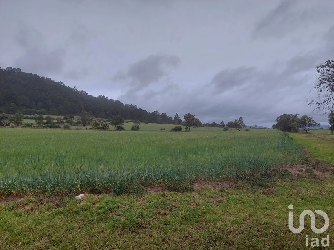 Terreno en Venta en Tecocomulco de Juárez, Cuautepec de Hinojosa, Hidalgo | NEX-198118 | iad México | Foto 4 de 5