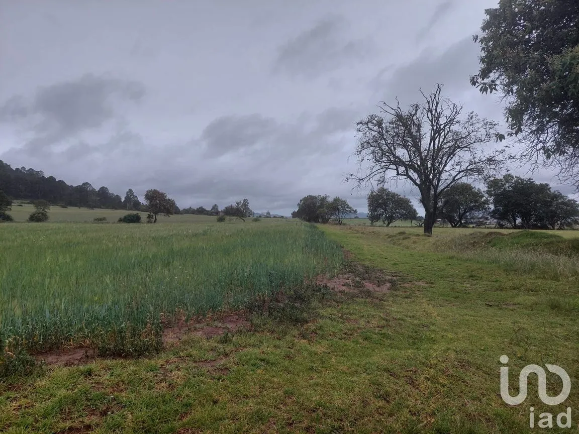 Terreno en Venta en Tecocomulco de Juárez, Cuautepec de Hinojosa, Hidalgo | NEX-198118 | iad México | Foto 5 de 5