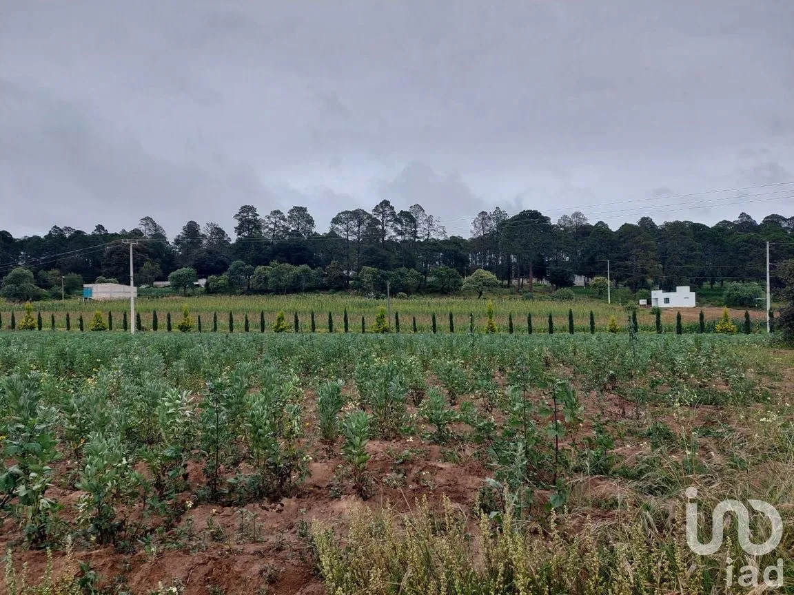 Terreno en Venta en Tecocomulco de Juárez, Cuautepec de Hinojosa, Hidalgo