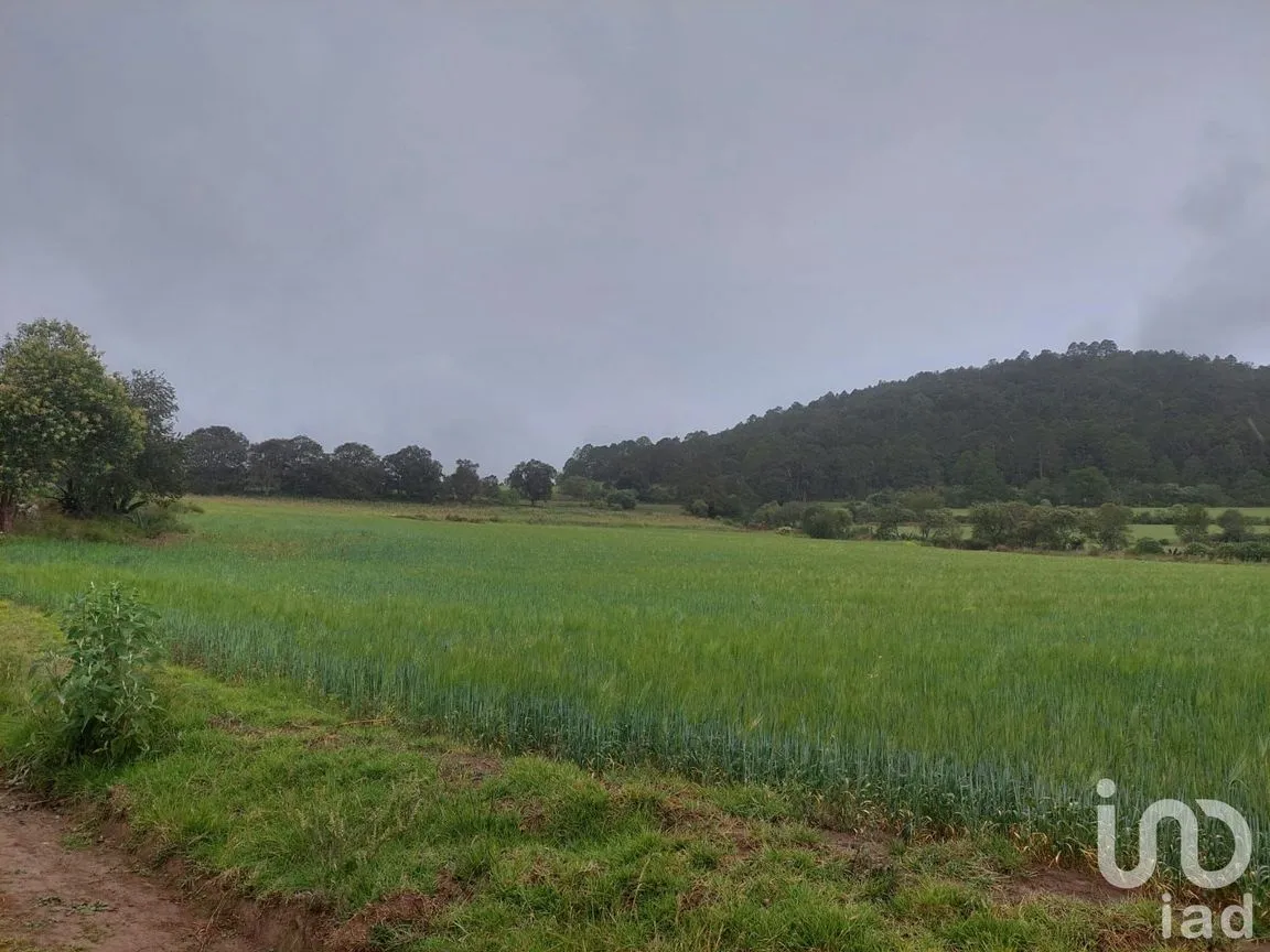 Terreno en Venta en Tecocomulco de Juárez, Cuautepec de Hinojosa, Hidalgo | NEX-198124 | iad México | Foto 2 de 7