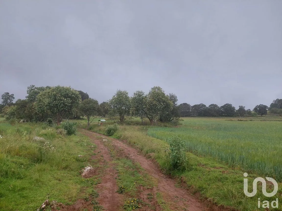 Terreno en Venta en Tecocomulco de Juárez, Cuautepec de Hinojosa, Hidalgo | NEX-198124 | iad México | Foto 3 de 7