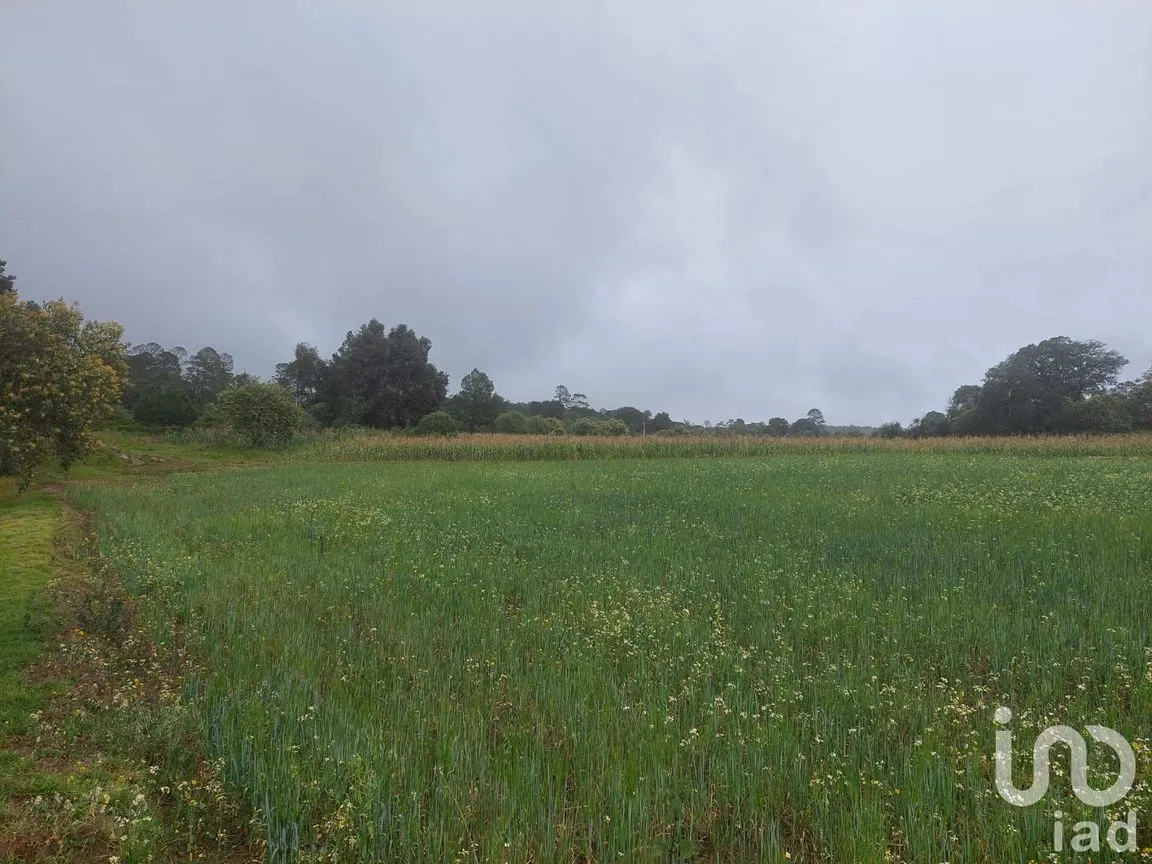 Terreno en Venta en Tecocomulco de Juárez, Cuautepec de Hinojosa, Hidalgo | NEX-198124 | iad México | Foto 4 de 7