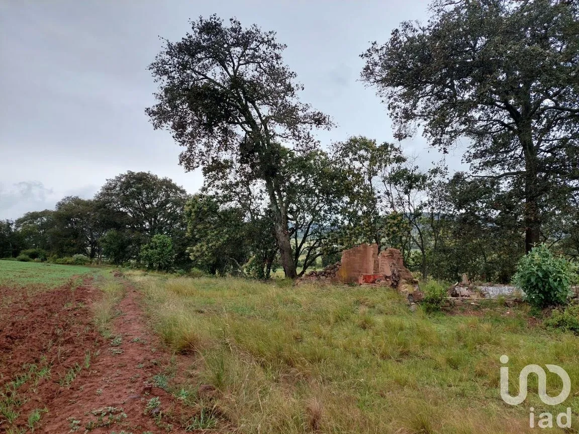 Terreno en Venta en Tecocomulco de Juárez, Cuautepec de Hinojosa, Hidalgo | NEX-198124 | iad México | Foto 5 de 7