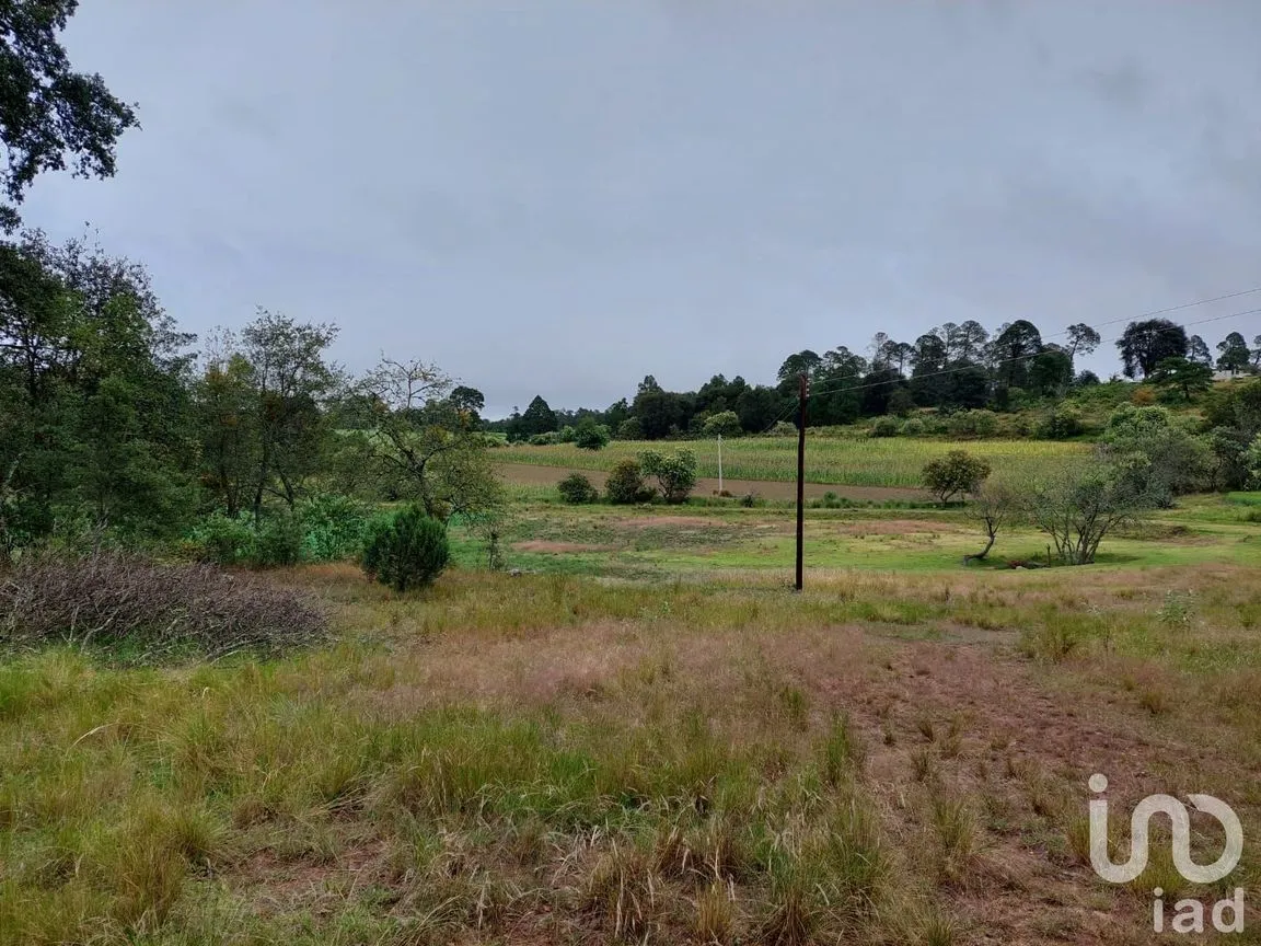 Terreno en Venta en Tecocomulco de Juárez, Cuautepec de Hinojosa, Hidalgo | NEX-198124 | iad México | Foto 6 de 7