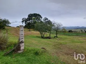 NEX-198124 - Terreno en Venta en Tecocomulco de Juárez, CP 43750, Hidalgo.