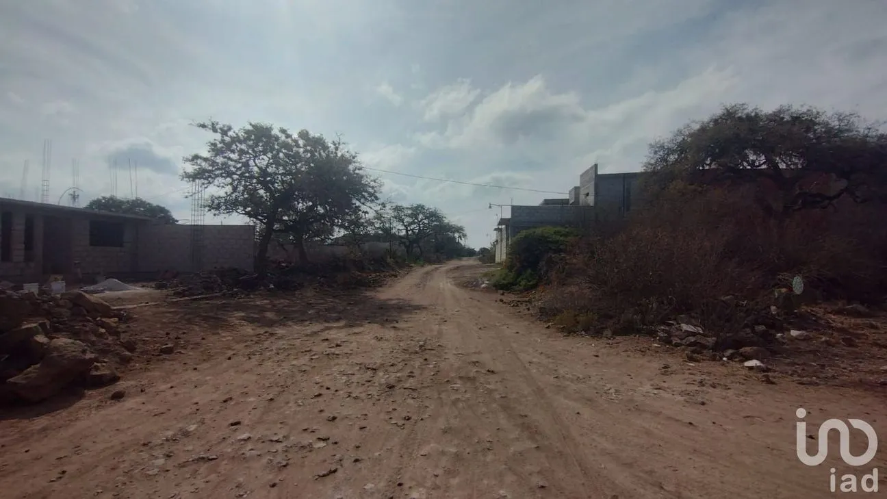 Terreno en Venta en Tepantitla, Cuautepec de Hinojosa, Hidalgo | NEX-205203 | iad México | Foto 4 de 6