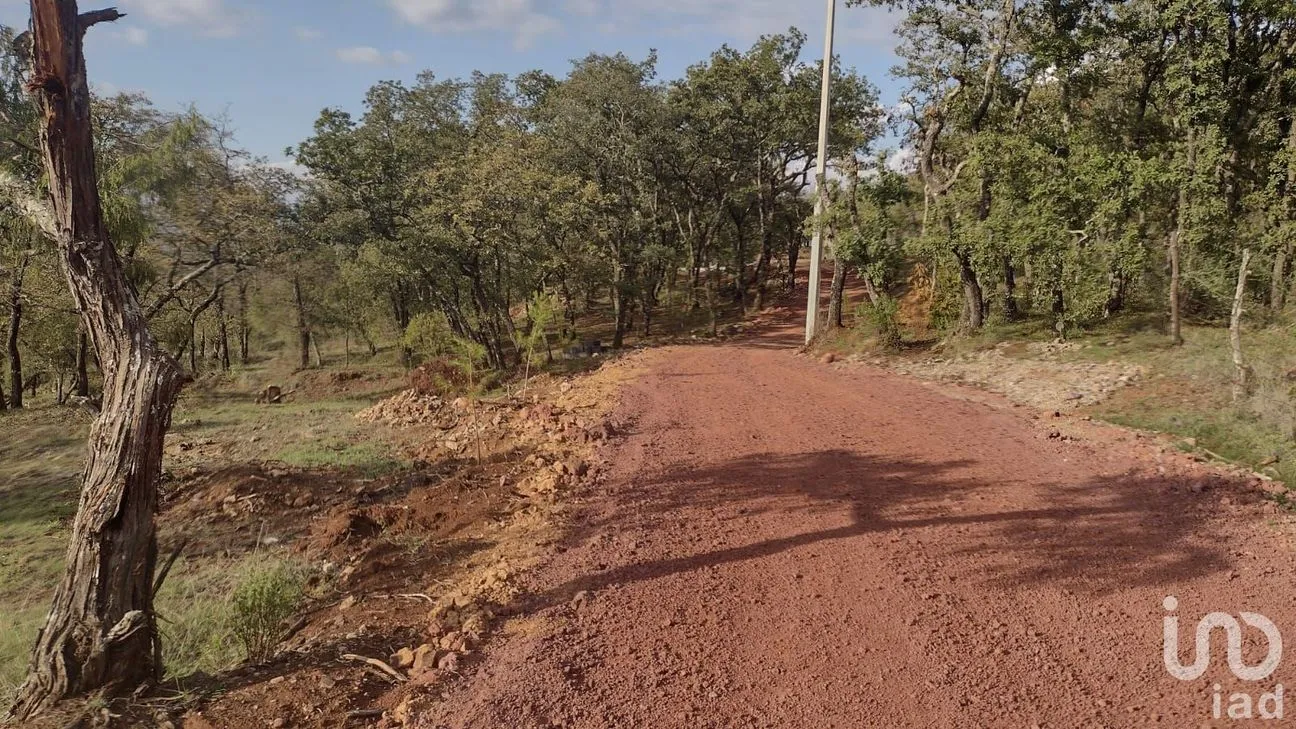 Terreno en Venta en Ojo de Agua, Huasca de Ocampo, Hidalgo | NEX-219668 | iad México | Foto 2 de 5