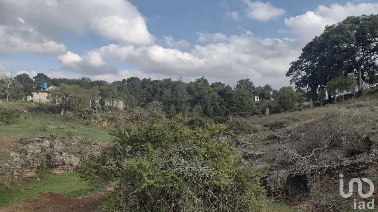 Terreno en Venta en Ojo de Agua, Huasca de Ocampo, Hidalgo | NEX-219668 | iad México | Foto 3 de 5