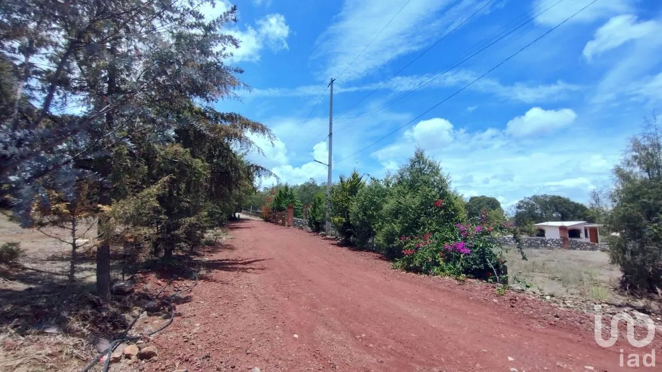 Terreno en Venta en Ojo de Agua, Huasca de Ocampo, Hidalgo | NEX-219668 | iad México | Foto 1 de 5