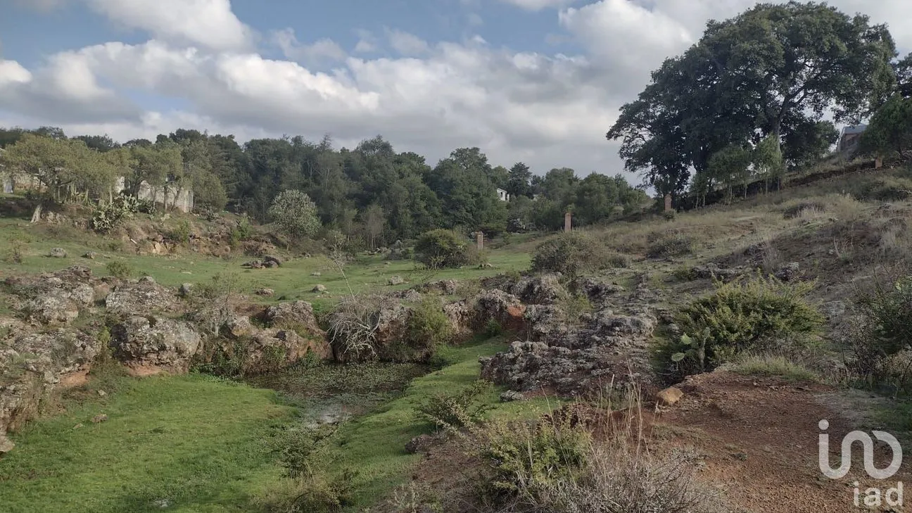 Terreno en Venta en Ojo de Agua, Huasca de Ocampo, Hidalgo | NEX-219674 | iad México | Foto 2 de 5