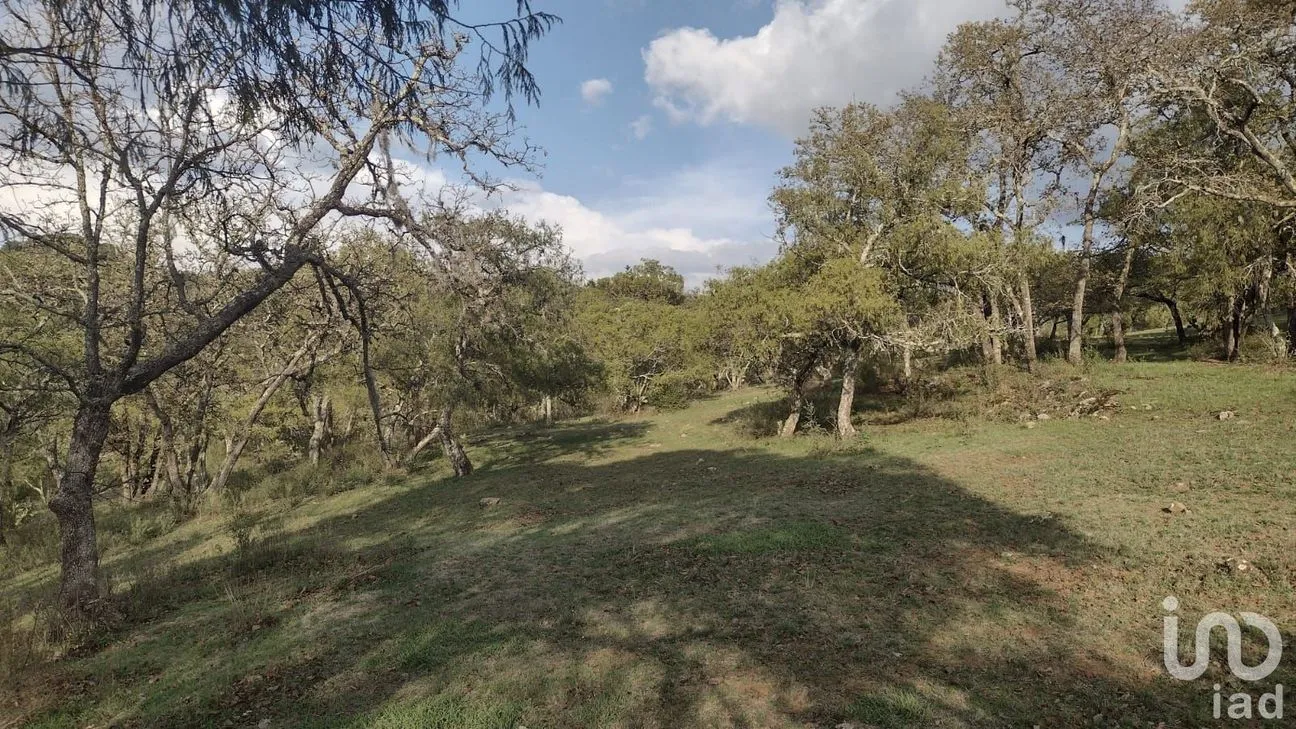 Terreno en Venta en Ojo de Agua, Huasca de Ocampo, Hidalgo | NEX-219674 | iad México | Foto 3 de 5
