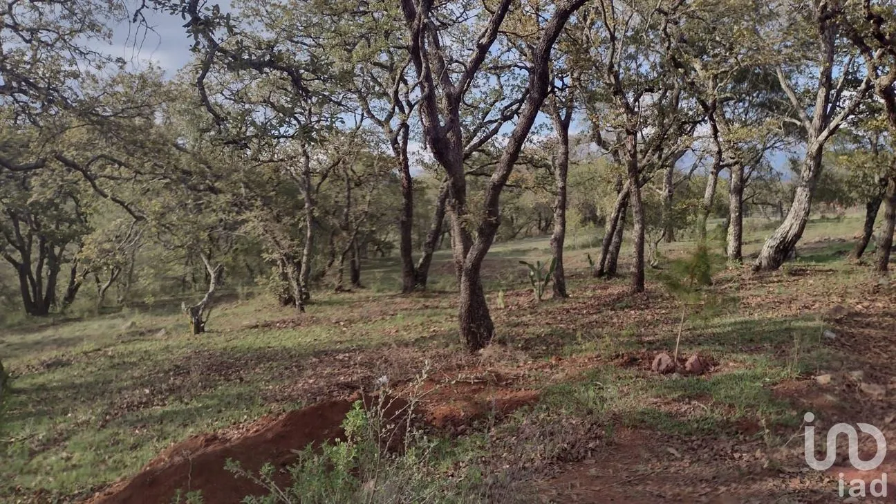 Terreno en Venta en Ojo de Agua, Huasca de Ocampo, Hidalgo | NEX-219674 | iad México | Foto 4 de 5