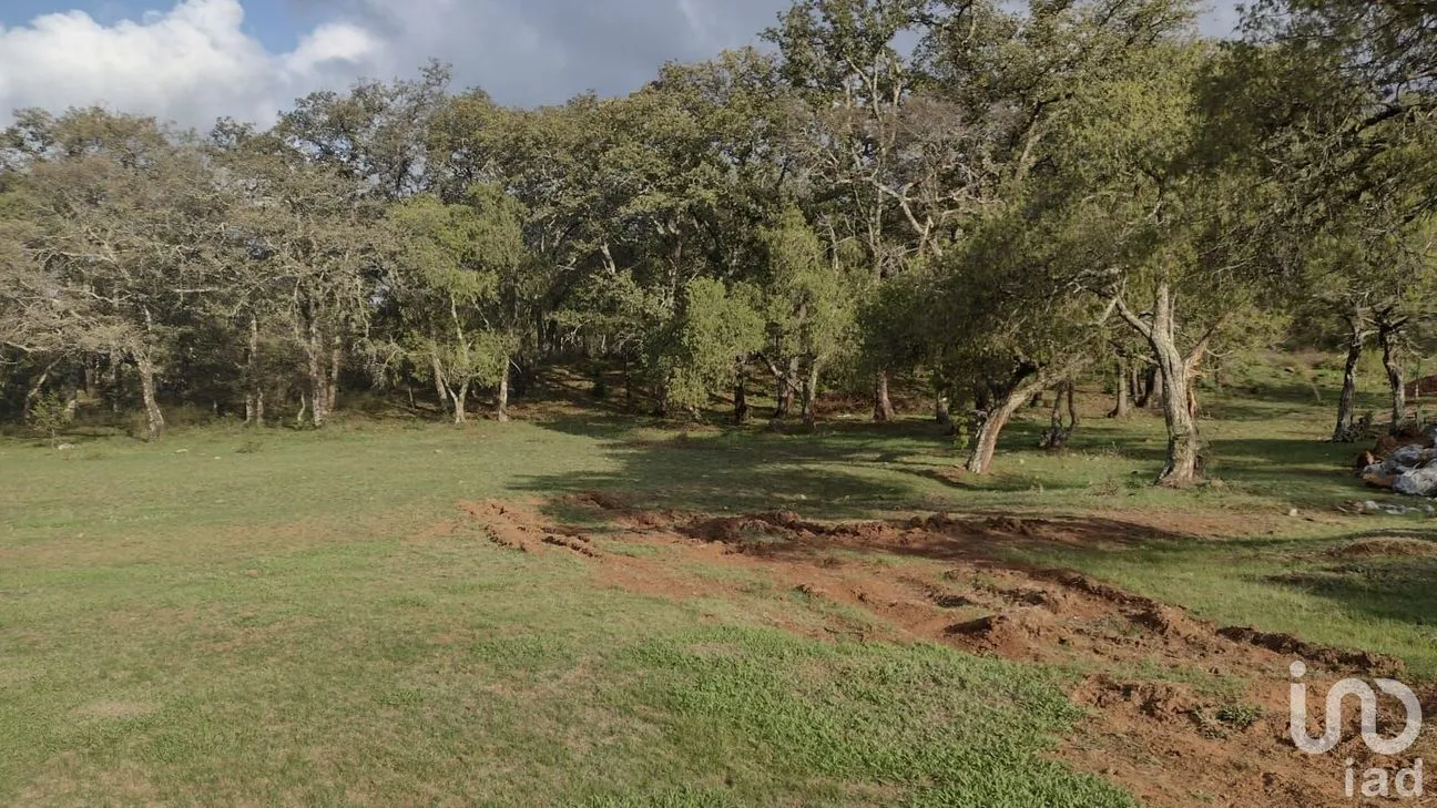 Terreno en Venta en Ojo de Agua, Huasca de Ocampo, Hidalgo | NEX-219674 | iad México | Foto 5 de 5