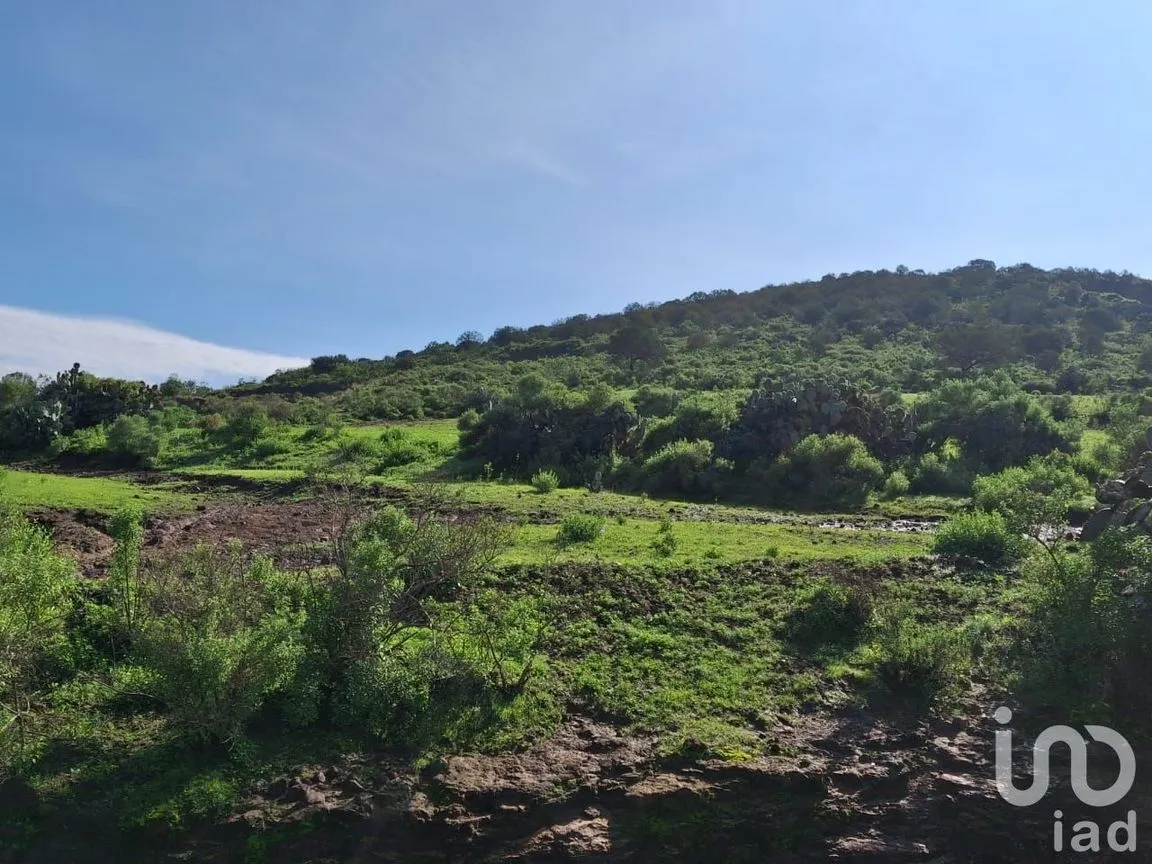 Terreno en Venta en San Mateo Tlajomulco, Zempoala, Hidalgo | NEX-221060 | iad México | Foto 2 de 8
