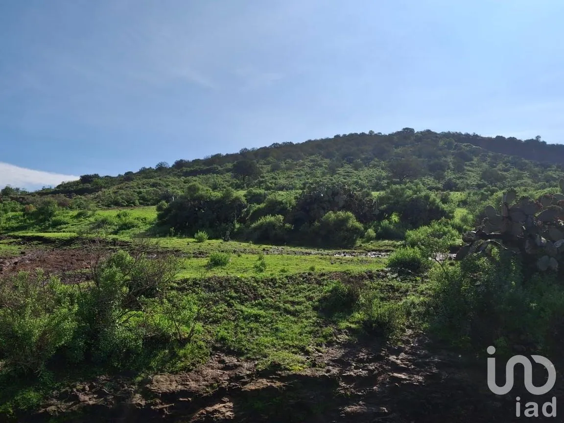 Terreno en Venta en San Mateo Tlajomulco, Zempoala, Hidalgo | NEX-221060 | iad México | Foto 4 de 8