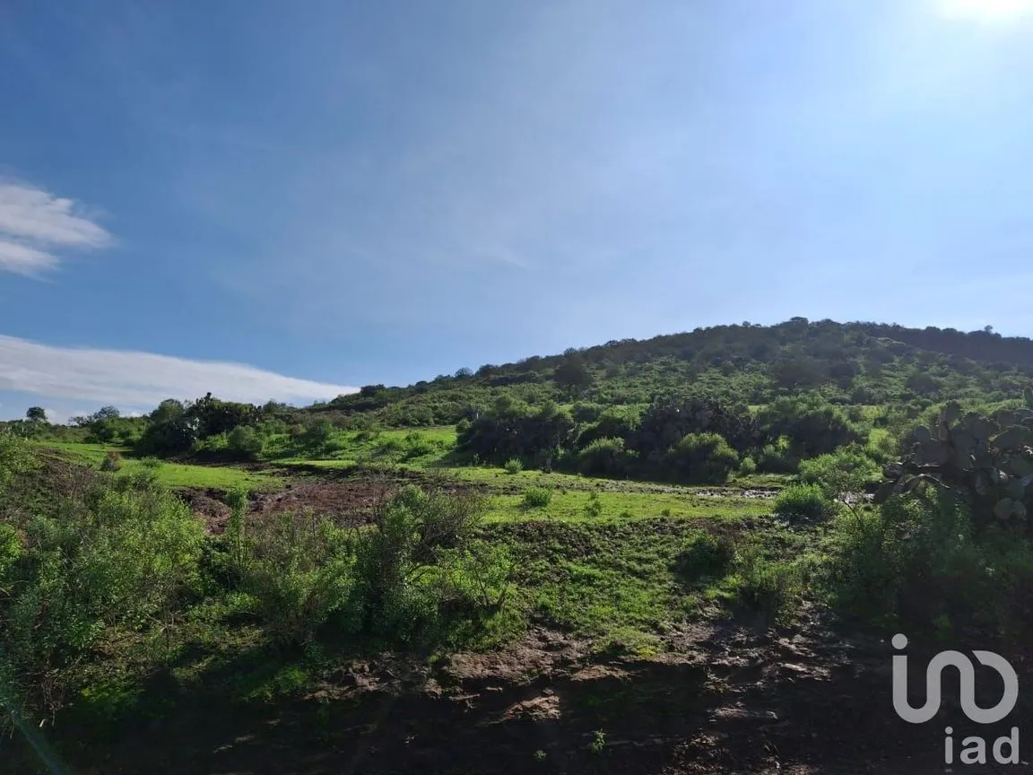 Terreno en Venta en San Mateo Tlajomulco, Zempoala, Hidalgo | NEX-221060 | iad México | Foto 5 de 8
