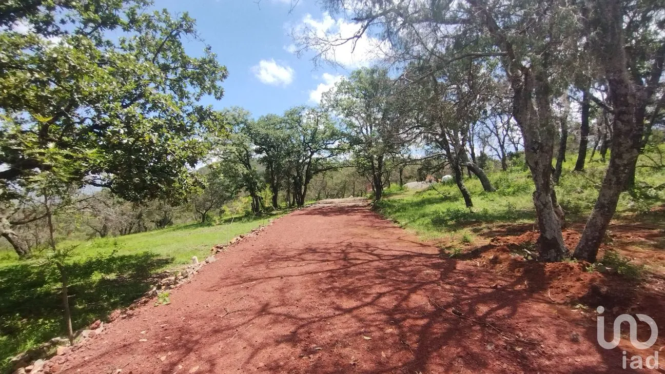 Terreno en Venta en Ojo de Agua, Huasca de Ocampo, Hidalgo | NEX-221503 | iad México | Foto 2 de 4