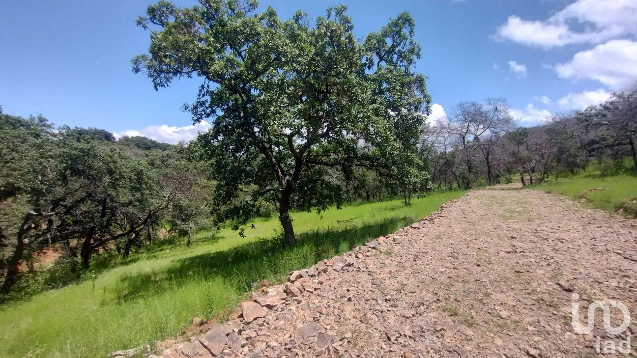 Terreno en Venta en Ojo de Agua, Huasca de Ocampo, Hidalgo | NEX-221503 | iad México | Foto 3 de 4