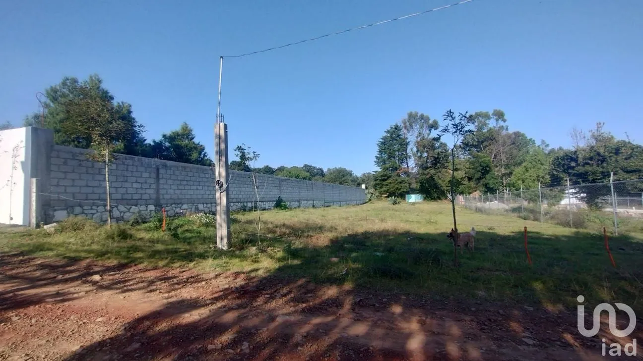 Terreno en Venta en Ojo de Agua, Huasca de Ocampo, Hidalgo | NEX-235151 | iad México | Foto 2 de 8