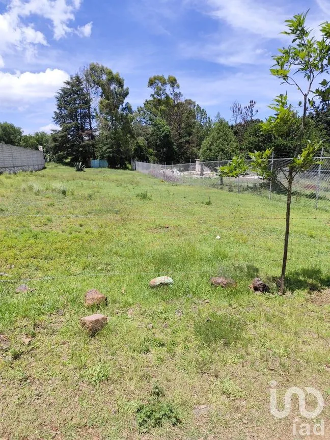 Terreno en Venta en Ojo de Agua, Huasca de Ocampo, Hidalgo | NEX-235151 | iad México | Foto 3 de 8
