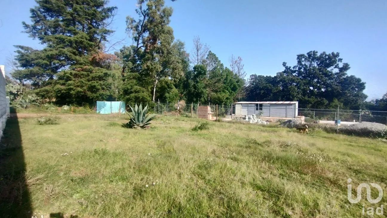 Terreno en Venta en Ojo de Agua, Huasca de Ocampo, Hidalgo | NEX-235151 | iad México | Foto 5 de 8