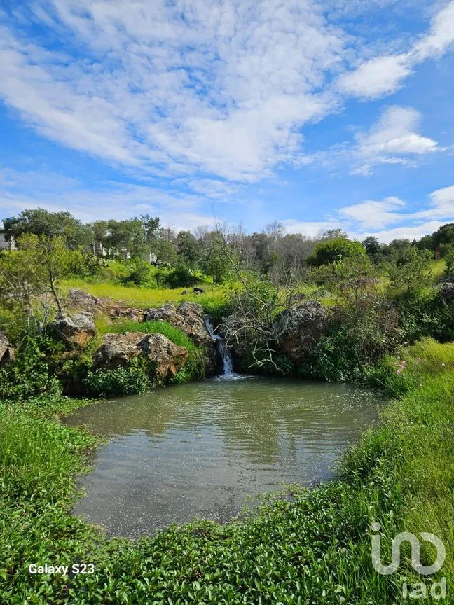 Terreno en Venta en Ojo de Agua, Huasca de Ocampo, Hidalgo | NEX-235151 | iad México | Foto 7 de 8