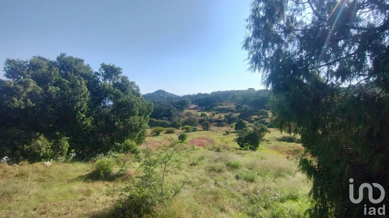 Terreno en Venta en Ojo de Agua, Huasca de Ocampo, Hidalgo | NEX-235151 | iad México | Foto 8 de 8