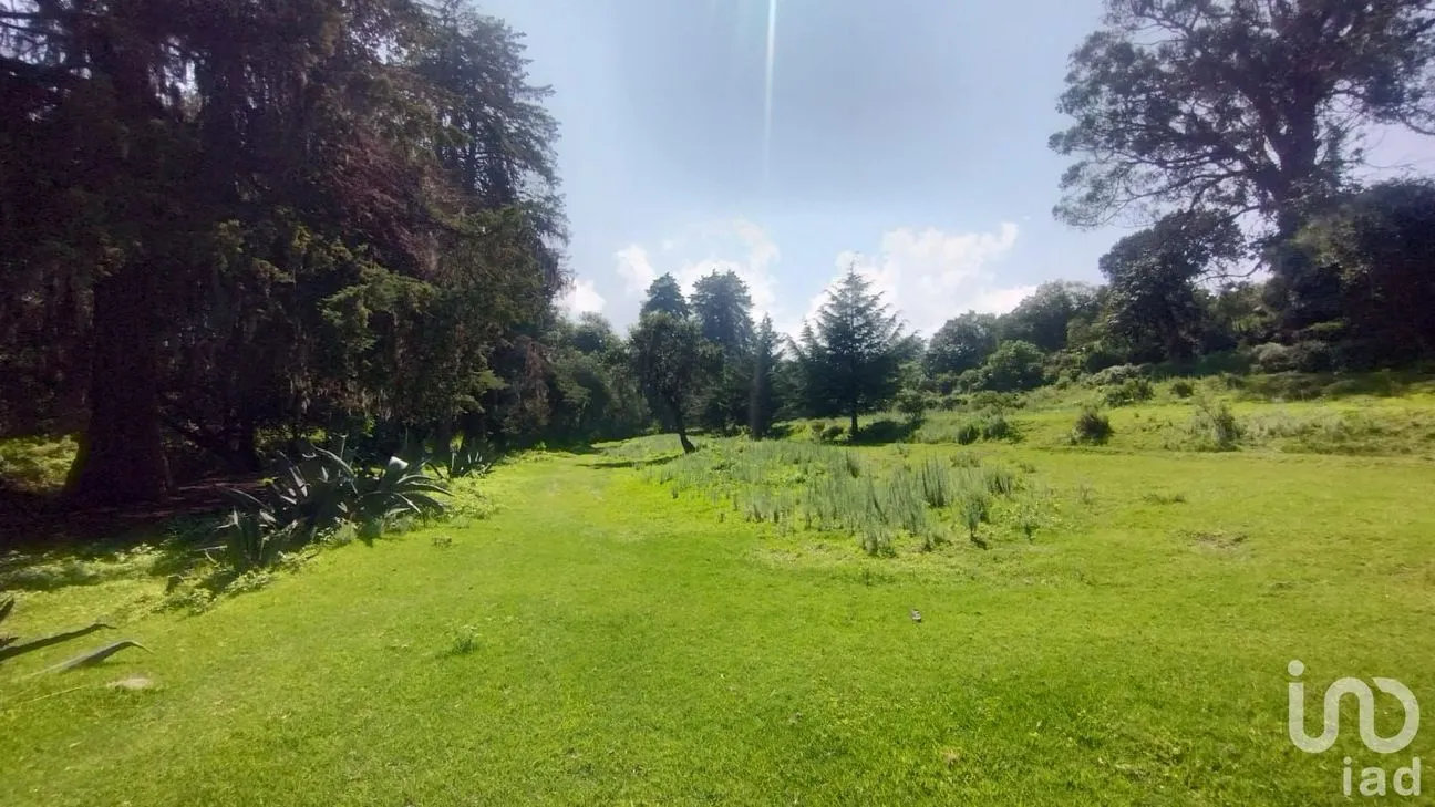 Terreno en Venta en Bermúdez, Huasca de Ocampo, Hidalgo | NEX-254057 | iad México | Foto 2 de 7