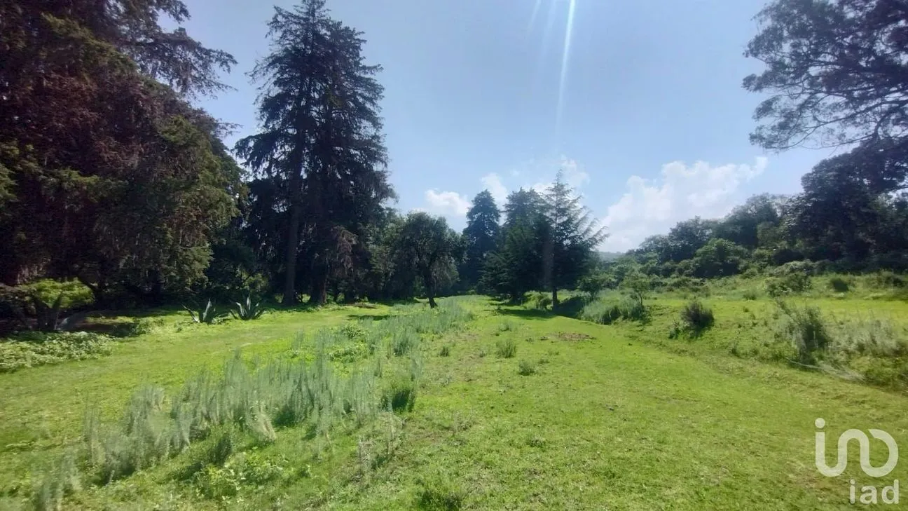 Terreno en Venta en Bermúdez, Huasca de Ocampo, Hidalgo | NEX-254057 | iad México | Foto 3 de 7