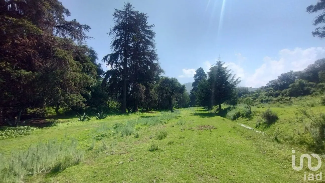 Terreno en Venta en Bermúdez, Huasca de Ocampo, Hidalgo | NEX-254057 | iad México | Foto 4 de 7