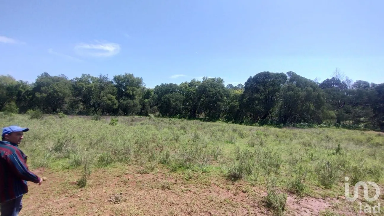 Terreno en Venta en Bermúdez, Huasca de Ocampo, Hidalgo | NEX-254057 | iad México | Foto 5 de 7