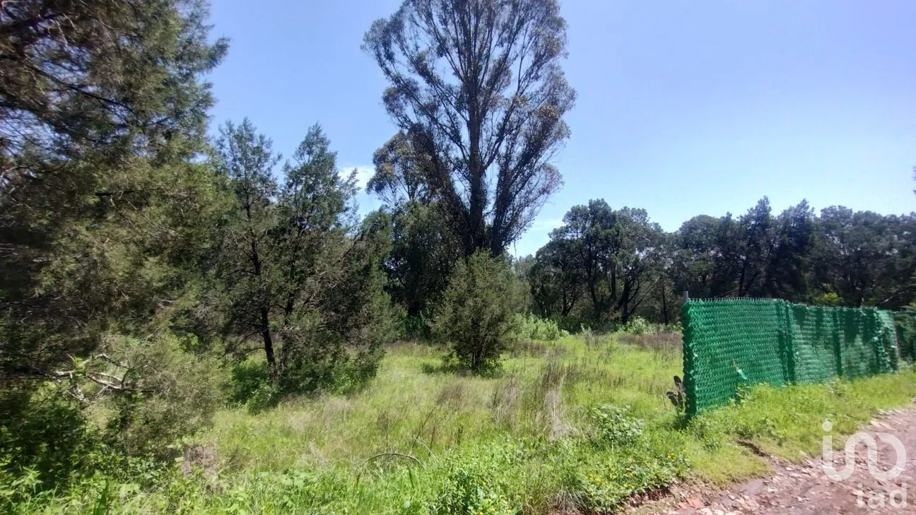 Terreno en Venta en Bermúdez, Huasca de Ocampo, Hidalgo | NEX-254057 | iad México | Foto 6 de 7