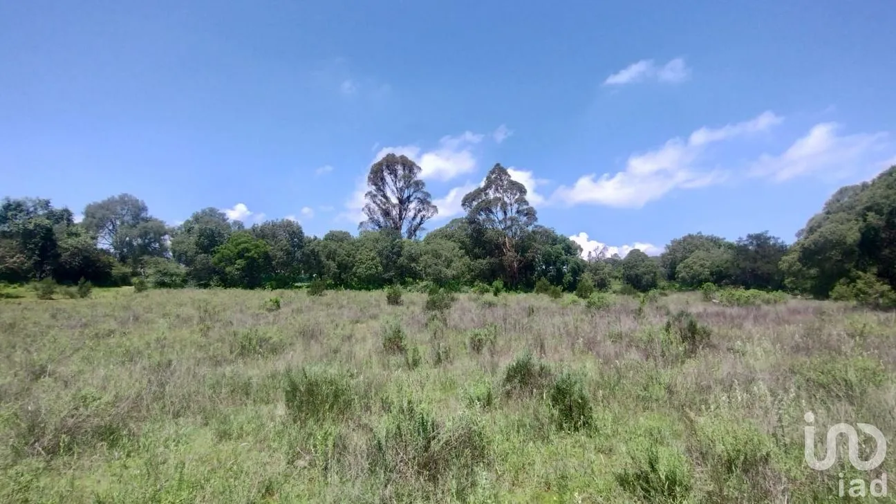 Terreno en Venta en Bermúdez, Huasca de Ocampo, Hidalgo | NEX-254057 | iad México | Foto 7 de 7