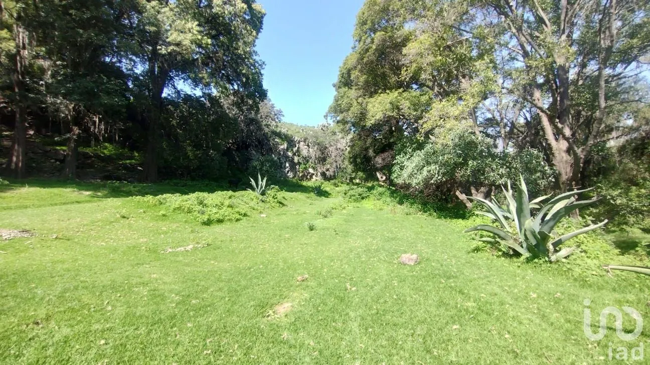 Terreno en Venta en Bermúdez, Huasca de Ocampo, Hidalgo | NEX-254057 | iad México | Foto 1 de 7