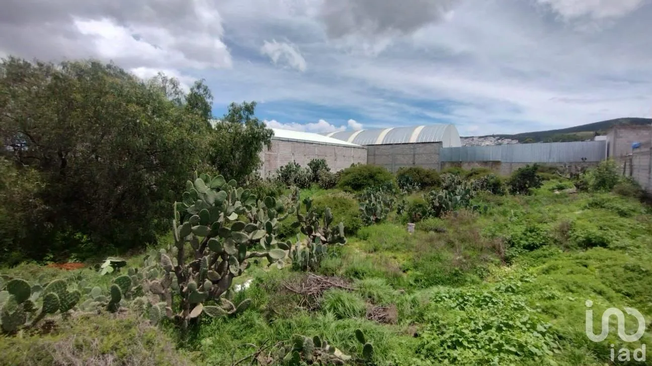 Terreno en Venta en Pachuquilla, Mineral de la Reforma, Hidalgo | NEX-254199 | iad México | Foto 3 de 8