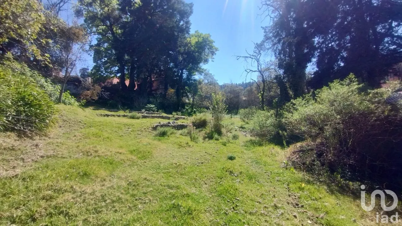 Terreno en Venta en San Ramón, Mineral del Monte, Hidalgo | NEX-285905 | iad México | Foto 3 de 10
