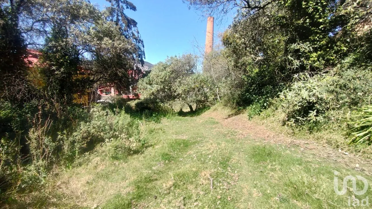 Terreno en Venta en San Ramón, Mineral del Monte, Hidalgo | NEX-285905 | iad México | Foto 4 de 10