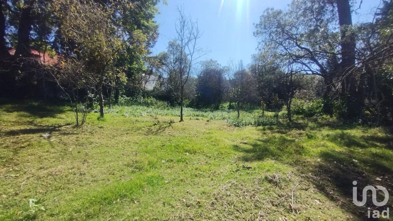 Terreno en Venta en San Ramón, Mineral del Monte, Hidalgo | NEX-285905 | iad México | Foto 6 de 10